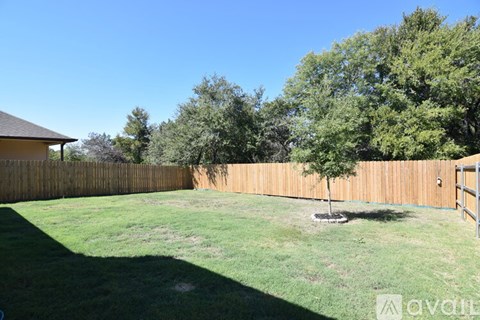 A backyard with a wooden fence and a small tree in the middle of the grass.