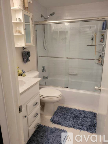 2453 Northeast 51st Street 1 Condo for Rent - Photo gallery 5