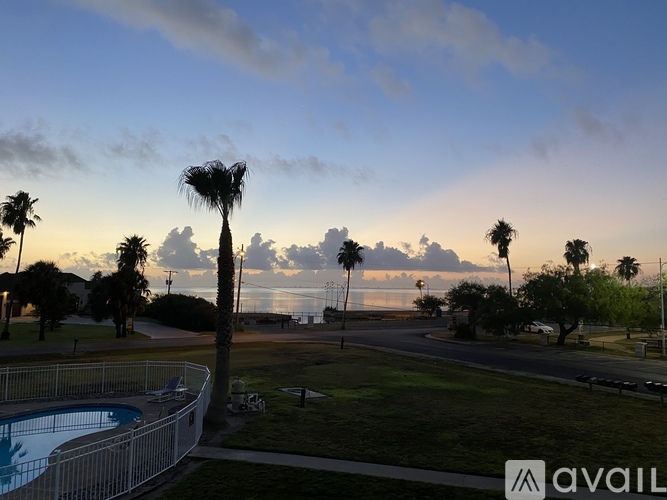 A pool surrounded by a fence with palm trees in the background.
