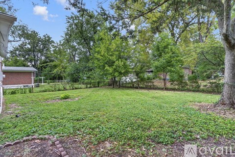 A backyard with a tree and a fence.