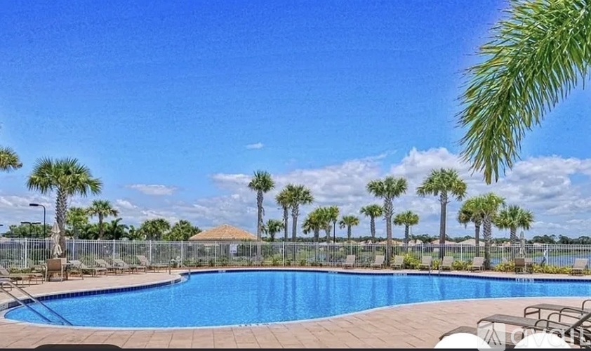 A swimming pool surrounded by palm trees and a fence.