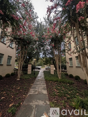 A tree-lined walkway with pink flowers.