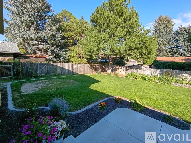 A backyard with a white fence and a gravel path.