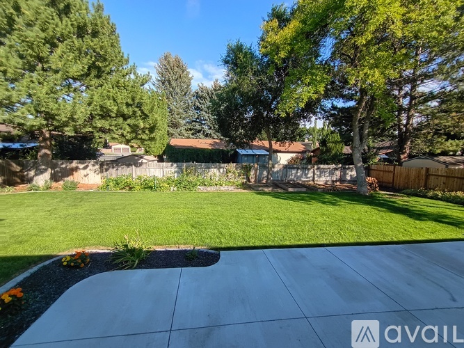 A backyard with a white fence and a green lawn.