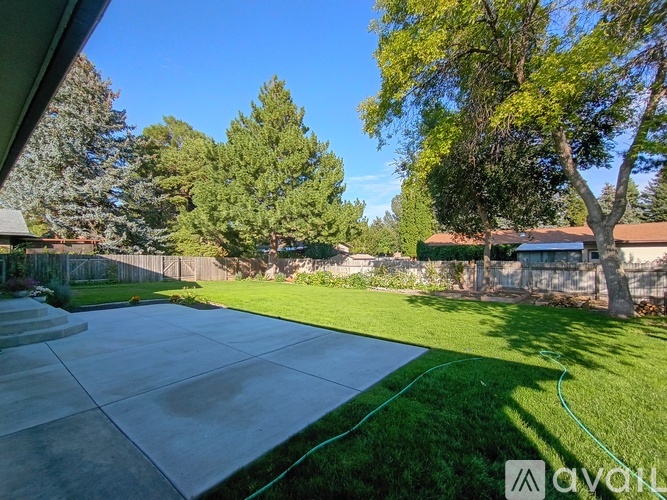 A backyard with a concrete patio and a green lawn.