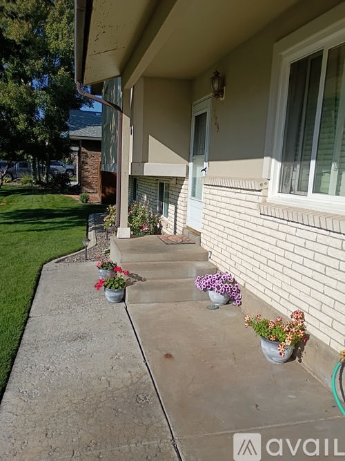 A house with a white brick wall and a green hose on the right.