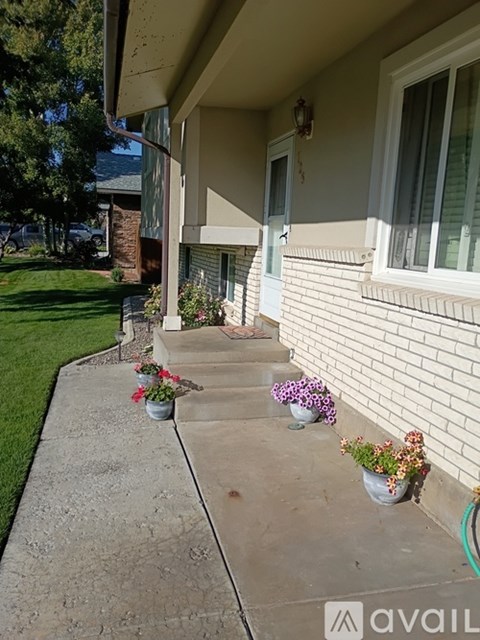 A house with a white brick wall and a green hose on the right.