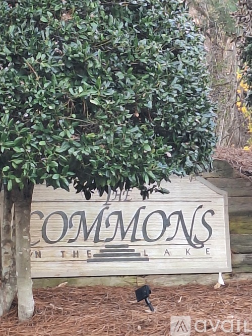 A sign that says "Commons" is in front of a tree.