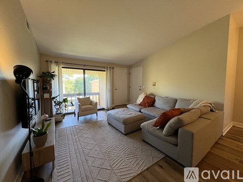 A living room with a grey couch and a patterned rug.