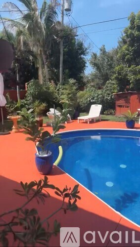 A pool with a blue plant in a blue pot.
