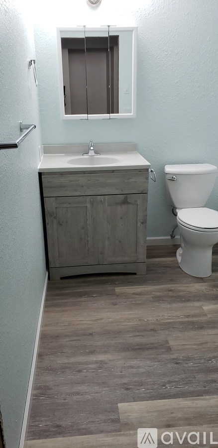 A bathroom with a toilet, sink, and wooden floors.