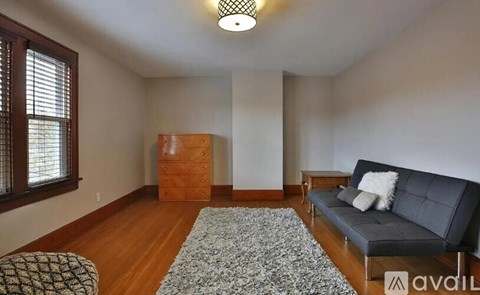 A living room with a grey couch and a rug.
