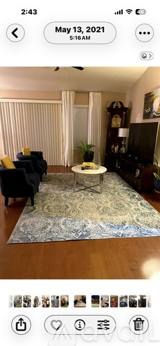A living room with a rug, a sofa, a chair, and a plant.
