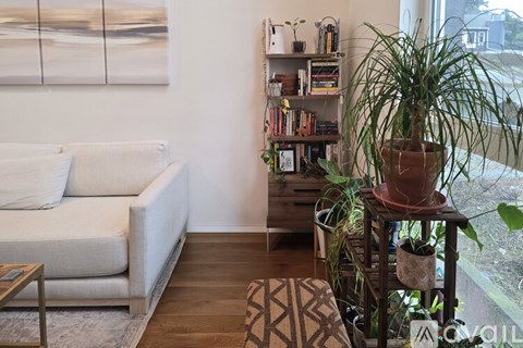 A living room with a white couch, a bookshelf, and a potted plant.