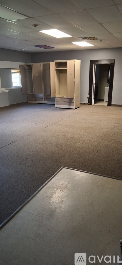 A room with a carpeted floor and a couple of wardrobes.