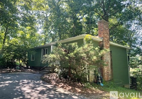 A green house with a chimney is surrounded by trees.