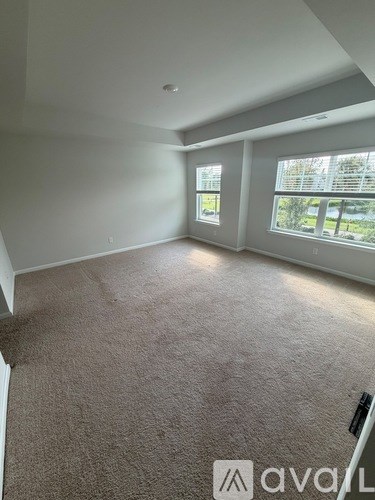 A carpeted room with a window and a door.
