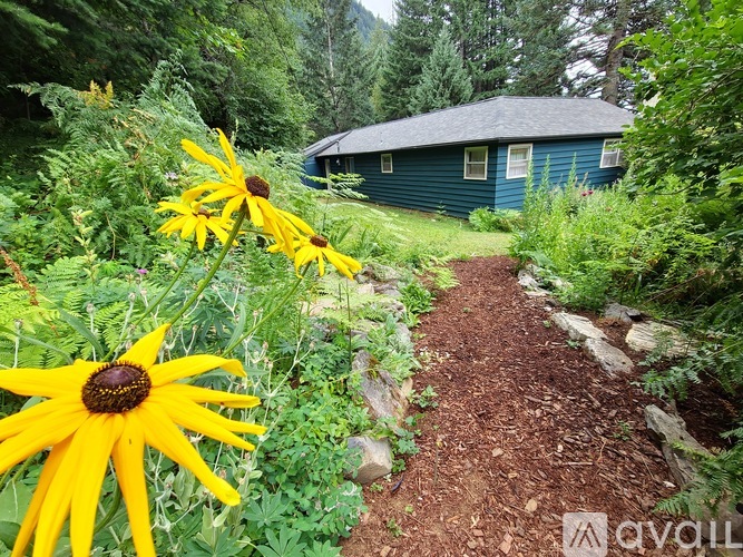 1462 Wind Mountain Road 3 Beds Single Family Home for Rent - Photo gallery 4