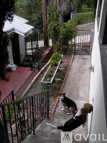 Three dogs are sitting on a red brick walkway.