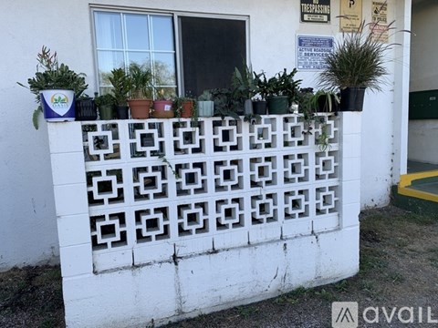 A white fence with a row of potted plants on top.