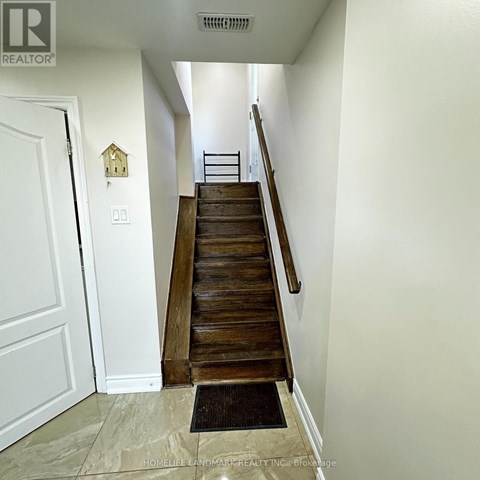 BSMT - 38 MENDIP CRESCENT 1 Apartment for Rent