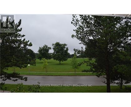 A tree in a grassy area with a sign that says Nu-Vista Pinnacle Realty Brokerage Inc.