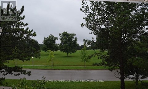 A tree in a grassy area with a sign that says Nu-Vista Pinnacle Realty Brokerage Inc.