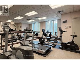 A gym room with treadmills and elliptical machines.