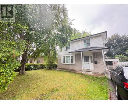 UPPER - 10 KENILWORTH ROAD 3 Beds House for Rent - Photo gallery 2