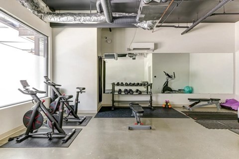 A gym with a row of stationary bikes, a bench, and a rack of dumbbells.