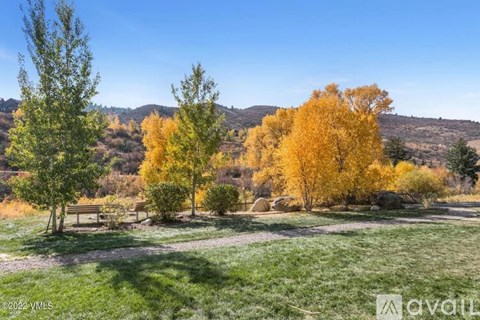 A field with trees and a bench in the distance.