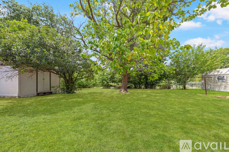 A tree in a grassy yard with a building in the background.