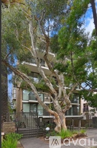 1250 Cave St 2 Beds Condo for Rent - Photo gallery 2