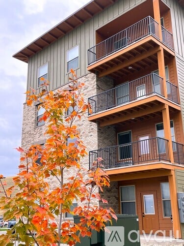 A tree with orange leaves is in front of a building with balconies.