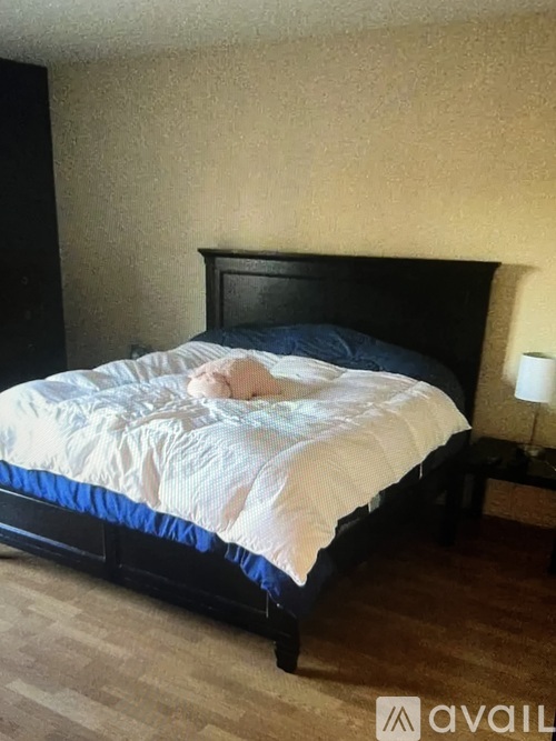 1815 Oakton Street 2 Beds Apartment for Rent - Photo gallery 5