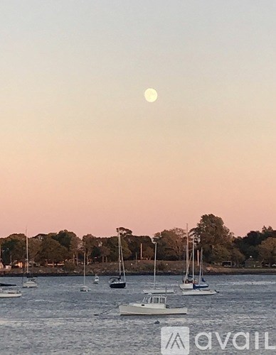 A full moon rises over a harbor with boats and trees.