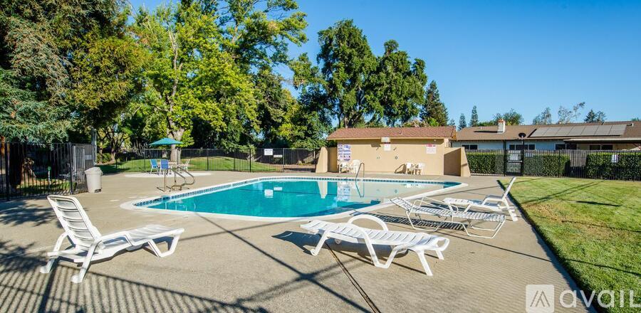 A pool surrounded by lawn chairs and trees.