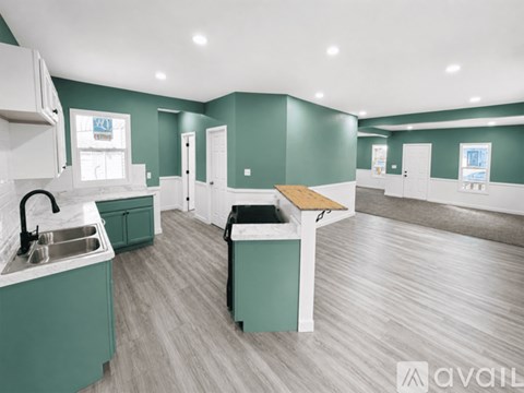 A kitchen with green cabinets and a white sink.