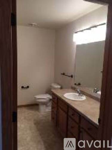 A bathroom with a toilet, sink, and mirror.