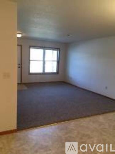 A room with a window and a carpeted floor.