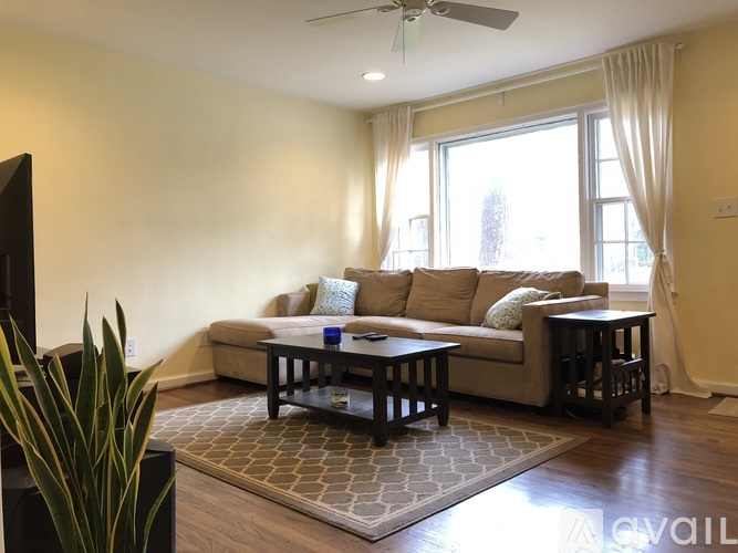 A living room with a couch, a coffee table, and a plant.