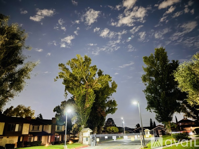 A night scene of a street with trees and buildings.