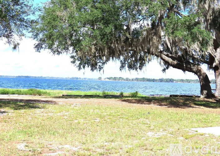 A tree with spanish moss hanging from it's branches overhangs a grassy area next to a body of water.