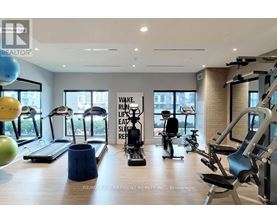 A gym with a variety of equipment including treadmills, stationary bikes, and weight machines.