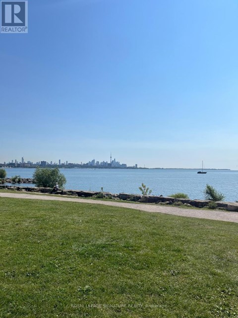 A grassy area with a body of water and a city skyline in the distance.