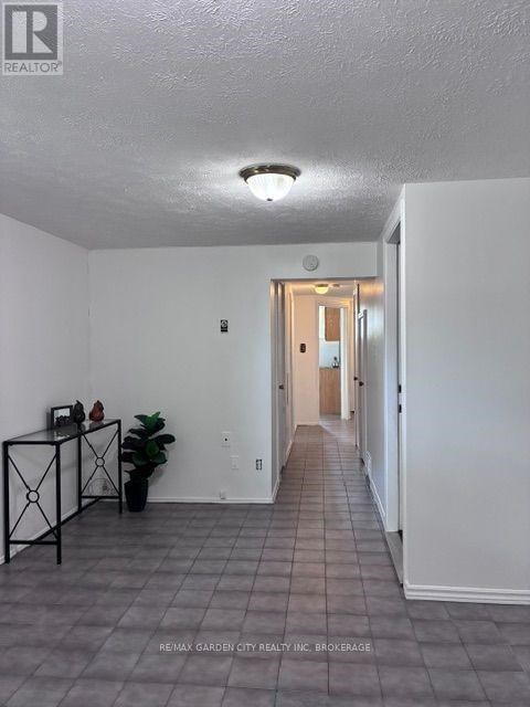 A long hallway with a plant and a table on the left.