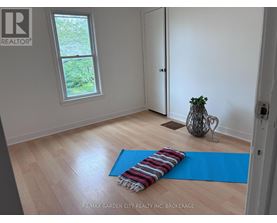 A room with a blue yoga mat on the floor.