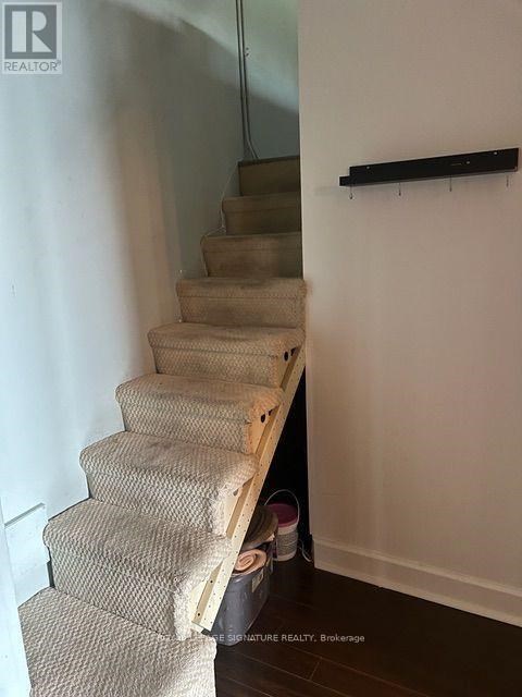 A staircase with a carpeted runner and a wooden handrail.