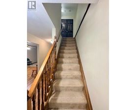 A staircase with a wooden railing and beige carpeted steps.