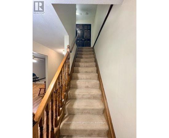 A staircase with a wooden railing and beige carpeted steps.